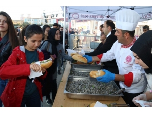 Nevü’de "7. Geleneksel Mangalda Hamsi Şöleni" Yapıldı