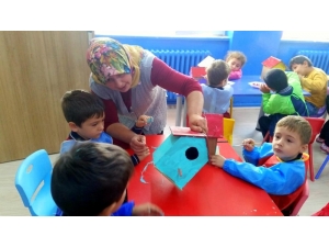Minik Elleriyle, Kuşlar İçin Ağaçlara Yuva Yaptılar