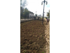 Melensu Parkta Çimleme Çalışmaları Başladı