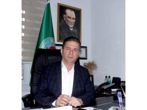 Akdeniz Meyve Sineğine Karşı Yeniden İlaçlama Yapılacak