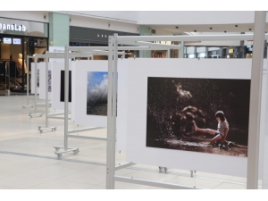 Doğanın Enerjisi Fotoğraf Sergisi Halka Açıldı