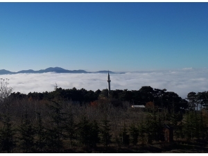 Uludağ Eteklerinde Sis Köyü Kapladı, Muhteşem Manzara Ortaya Çıktı
