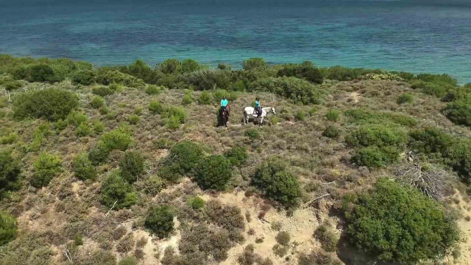 canakkale-de-orman-yanginlarina-karsi-ekipleri-sahada