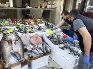 Hamsi 5 Liraya Kadar Düştü