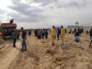 Üniversiteli Öğrenciler Fidanları Toprakla Buluşturdu