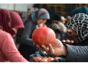 Rusya’nın Narı Korkuteli’den İhraç Ediliyor