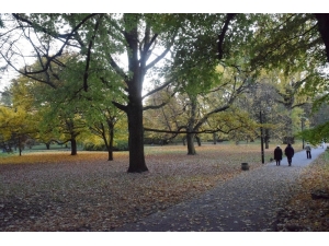 Polonya’da Kartpostallık Sonbahar Manzaraları