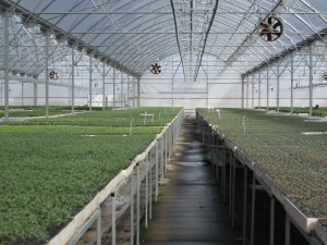 Bitkisel Ürün Sigortalarında Yeni Üretim Sezonu Açıldı