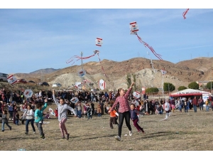 Uçurtma Şöleni Festivale Dönüştü