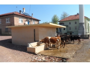 Büyükşehir’den Köylere Sulama Desteği