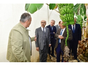 Vali Demirtaş: "Daima Üreticinin Yanındayız"