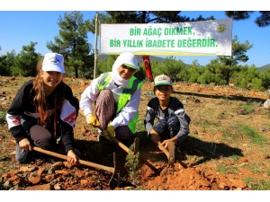 Fidanlar, Fidanlarla Büyüyecek