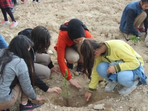 Suriye Sınırında Fidanlar Toprakla Buluşturuldu