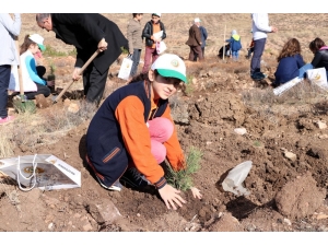 Yozgat’ta Bin 500 Fidan Toprakla Buluştu