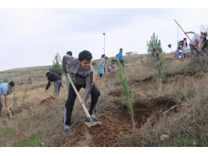 Öğrenciler Fidanları Toprakla Buluşturdu
