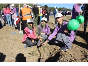 ‘Fidanlar, Fidanlarla Büyüyor’ Projesi Kapsamında 400 Fidan Toprakla Buluştu