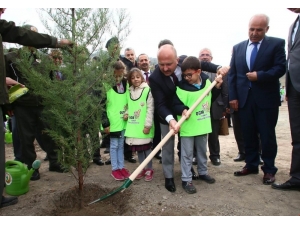 Yöneticilerle Öğrenciler Birlikte Fidan Dikti