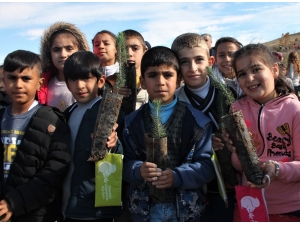Elazığ’da,öğrenciler 2 Bin 600 Fidan Dikti