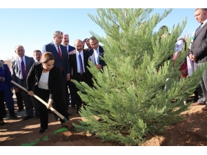 Uşak’ta “Fidanlar Fidanlarla Büyüyor” Projesi İle 2 Bin 500 Fidan Dikildi