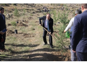 Şuhut’ta 500 Fidan Toprakla Buluştu