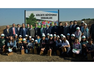 Vali Yazıcı, Öğrenciler İle Fidan Dikti