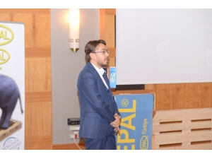 Palet Havuzu Kuruluyor