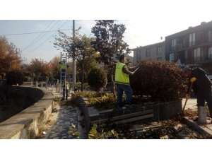 Park Ve Bahçeler Çay Mahallesinde