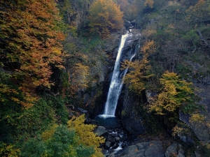 Şehrin İçinde Çağlayan Güzellik