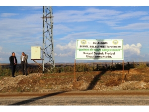 Kayyum Belediyenin Hazırladığı Proje İle 70 Aile 5 Ayda 3 Milyon 200 Tl Gelir Elde Etti