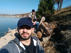 Yaralı Pelikan Tedavi Altına Alındı