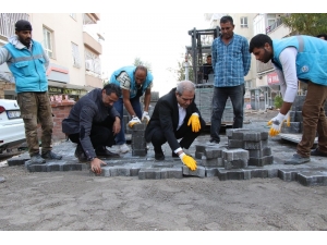 Demirkol, Çalışmaları Yerinde İnceledi
