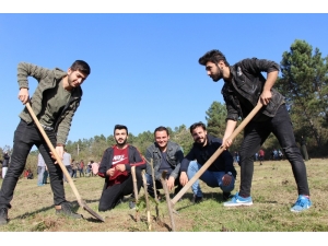 Düzce’de Kyk Öğrencileri Fidan Dikti