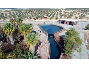 Akpınar Mesire Alanı Tamamlandı