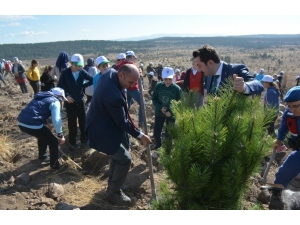 Öğrenciler, Fidanları Toprakla Buluşturdu