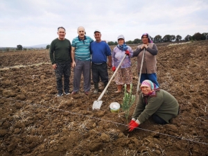 Gönen’de Zeytinler Dikiliyor, Yüzler Gülüyor