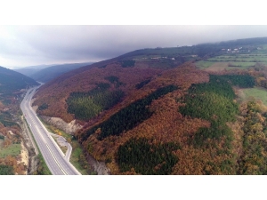 Karadeniz’de Sonbaharda Renk Cümbüşü