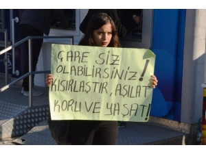 Hayvan Severler, Sokak Hayvanları İçin Bir Araya Geldi