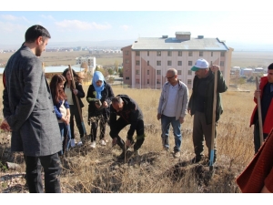 Kyk’lı Öğrenciler Bin Fidanı Toprakla Buluşturdu