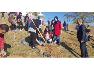 Solhan’da Öğrenciler Fidan Dikti