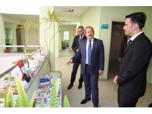 Vali Pehlivan, Aydıntepe İlçesinde İncelemelerde Bulundu