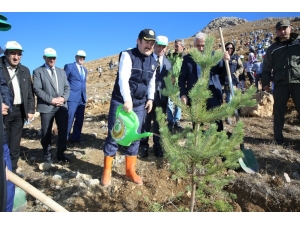 ‘Fidanlar, Fidanlarla Büyüyecek’ Projesi İle 150 Bin Fidan Toprakla Buluştu