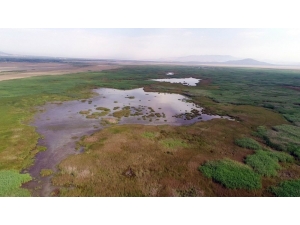 Akşehir Gölü Kurumaktan Kurtulacak