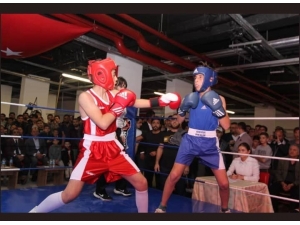 Şehit Kaymakam Safitürk Anısına Düzenlenen Boks Turnuvası’ndan Bilecikli Sporculardan Büyük Başarı