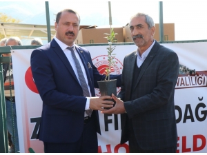 Elazığ’da 30 Üreticiye, Zeytin Fidanı Hibe Edildi