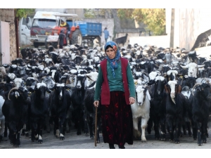 21. Yüzyılda Yaşamları Görenleri Şaşırtıyor