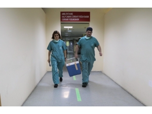 Rize’de 56 Yaşındaki Nihal Yazıcı’nın Organları 6 Hastaya Ümit Oldu