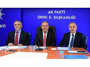 Tomakin: “Seferberlik İlan Ettik”