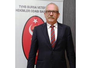 Bvho Başkanı Bolten: "Hayvanlara Antibiyotikleri Sadece Veteriner Hekimler Uygulamalı"