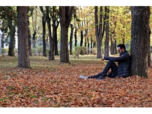 O İlçede Sonbahar Yaprakları 3 Gün Süpürülmeyecek