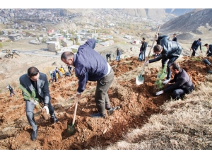 Hakkari Üniversitesi Kampüsünde Ağaçlandırma Çalışması